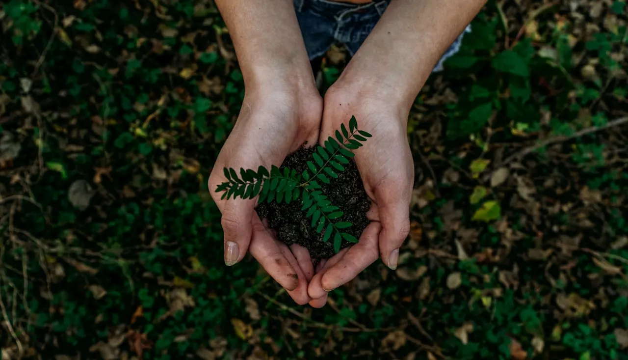 CSR initiative supporting environmental awareness